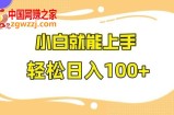 快手极速版无脑玩法，小白就能上手，日入100+【揭秘】