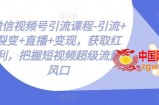 微信视频号引流课程-引流+裂变+直播+变现，获取红利，把握短视频超级流量风口