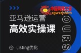 亚马逊运营高效实操课，Listing优化，选品思路