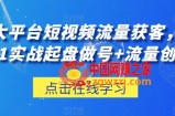三大平台短视频流量获客，从0-1实战起盘做号+流量创收