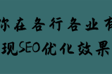 教你在各行各业有效实现SEO优化效果！【视频教程】