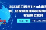 2023风口项目TikTok出海掘金计划，短视频直播带货跨境电商，多收益模式扶持