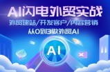 AI雷电出口外贸实战演练：外贸网站建设/寻找客户/内容运营/从0到3做跨境电商AI（75节）