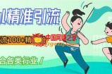 soul精准引流系列课程，一天引流100+精准粉，适合各类行业