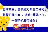 蓝海项目，售卖磁力聚星二维码，轻松日赚500+，适合0基础小白，一部手机即可操作【揭秘】