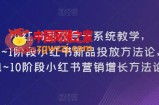 小红书品效合一系统教学，​0~1阶段小红书新品投放方法论，​1~10阶段小红书营销增长方法论