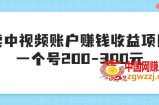 中视频赚钱陪跑：中视频账户赚钱收益项目，一个号200-300元