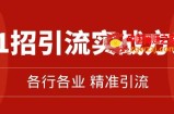精准引流术：11招引流实战方法，让你私域流量加到爆（11节课完整)