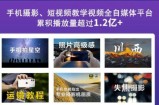2022玩转手机影像全系课，零基础的小白也能进阶成为手机摄影专业人士