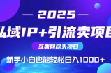 私域IP+卖项目，普通人小白也能轻松实现日入1000+