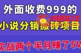小说分销搬砖项目：实战两个半月赚了5万块，操作简单（原价999）