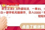 率土之滨2.0升级玩法，一单35，小白一部手机无脑操作，日入2000＋轻轻松松【揭秘】