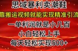 公域卖潮牌鞋子爆利游戏玩法，新手快速上手，日赚多张，轻松，只靠搬运视频就可精准引流方法
