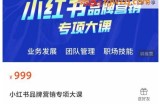 品牌医生操盘手系列课程，小红书品牌营销专项大课，操盘手进阶