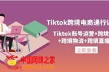 Tiktok跨境电商通行证2.0，Tiktok账号运营+跨境支付+跨境物流+跨境直播等