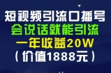安妈·短视频引流口播号，会说话就能引流，一年收益20W（价值1888元）