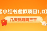《小红书虚拟项目1.0》账号注册+养号+视频制作+引流+变现，几天就赚两三千