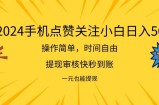 （11778期）2024最新项目手机上DY点爱心小白日入500