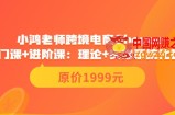 跨境电商Shopee入门课+进阶课：理论+实操系统化教学（价值1999）