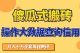 搬砖操作大数据查询信用项目赚钱教程