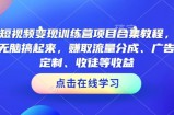 AI短视频变现训练营项目合集教程，直接无脑搞起来，赚取流量分成、广告、定制、收徒等收益(0302更新)
