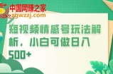 冷门暴利项目，短视频平台情感短信，小白月入万元