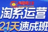 淘系运营21天速成班(更新24年6月)，0基础轻松搞定淘系运营，不做假把式