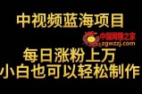中视频蓝海项目，解读英雄人物生平，每日涨粉上万，小白也可以轻松制作，月入过万不是梦【揭秘】