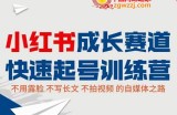小红书0粉起号实操课程：无需露脸，不写长文，不拍视频月入过万