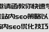 教你快速学会站内seo策略以及站内seo优化技巧！【视频教程】