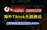 海外Tiktok短视频无脑搬运，一键去重轻松过原创，新手小白听话照做日入几张【揭秘】