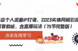 实体店个人流量IP打造，2023实体同城引流获客必听，含直播玩法（75节完整版）