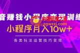 抖音赚钱小程序变现训练营：小程序月入10w+各类玩法运营技巧变现
