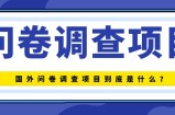 国外问卷调查项目到底是什么，深度解析国外问卷调查项目