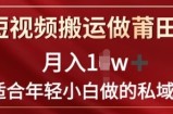 靠短视频搬运做莆田鞋子月入1w 简易爆利，比较适合年轻小白忙活的私域变现新项目