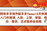 （7686期）跨境电商多多的国际版多多的Temu12天快速上手实战演练课，从进驻 上架到宣布出售全过程