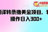 翻译转录撸美金项目，轻松操作日入300+【揭秘】