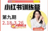 小红书训练营第9期（花生的书桌）：7天定位实战+7天爆款拆解实战，21天爆款笔记实操