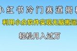 小红书的小众跑道揭密，运用小众软件完成没脑子运送，轻轻松松月入了万