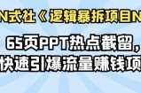 65页PPT热点截留，快速引爆流量赚钱项目