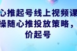 随心推起号线上视频课，实操随心推投放策略，正价起号