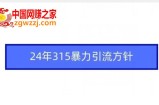 24年315暴力引流方针