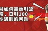 小红书如何高效引流创业粉，日引100+，解决你遇到的问题【揭秘】
