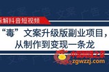 拆解抖音短视频：“毒”文案升级版副业项目，从制作到变现（教程+素材）
