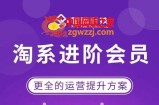 星雪·淘系进阶课程，快速提升突破技能流量瓶颈必备（更新2023年5月）