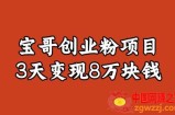 宝哥IP图文创业粉引流项目实战分享：单个账号3天涨粉1万，变现8万块钱（图文教程）【揭秘】