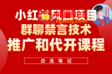 小红书风口项目日入300+，小红书群聊禁言技术代开项目，适合新手操作