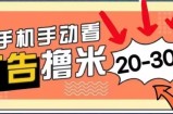 新平台看广告单机每天20-30+，无任何门槛，安卓手机即可，小白也能轻松上手