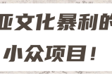 亚文化暴利的小众项目！【视频教程】