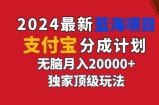 2024最新蓝海项目，支付宝分成计划，独家顶级玩法，无脑自动剪辑，